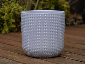 Dotted Cylinder Planter (No Saucer)