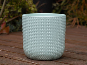 Dotted Cylinder Planter (No Saucer)