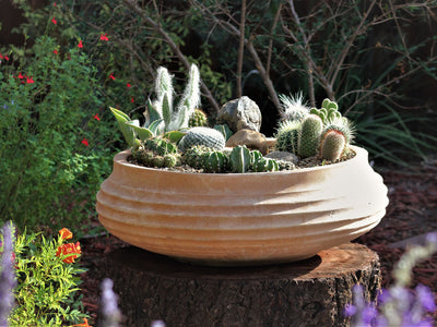 shallow planting pots Buy Piatela Planter