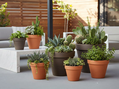 Deroma Standard Pot