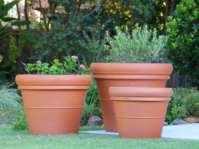 Deroma Heavy Rim Pot