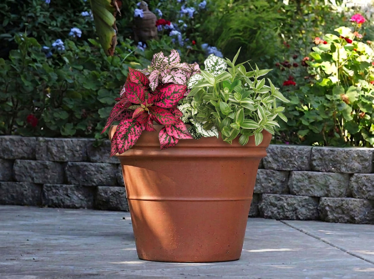 Deroma Heavy Rim Pot