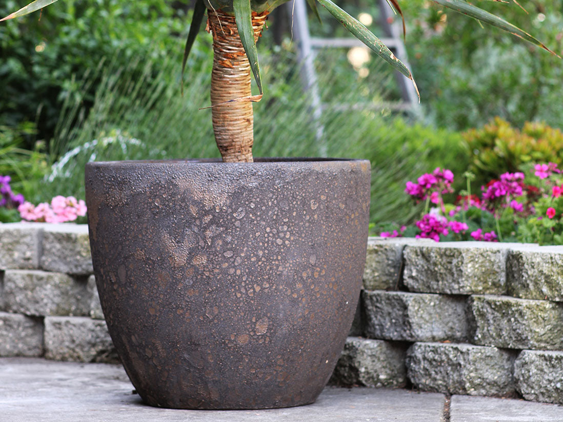Coco Pots Coral - Set of 4 By Plantatorem