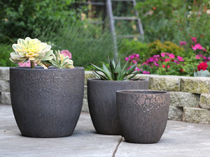 Coco Pots Coral - Set of 4 By Plantatorem