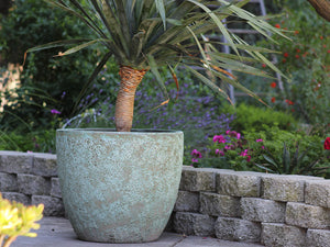 Coco Pots Coral - Set of 4 By Plantatorem