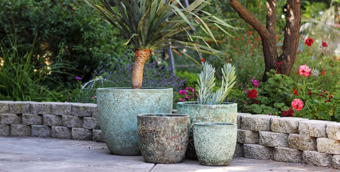 Become a Wholesale Partner