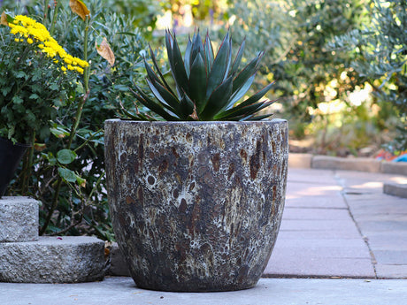 Coco Pots Coral