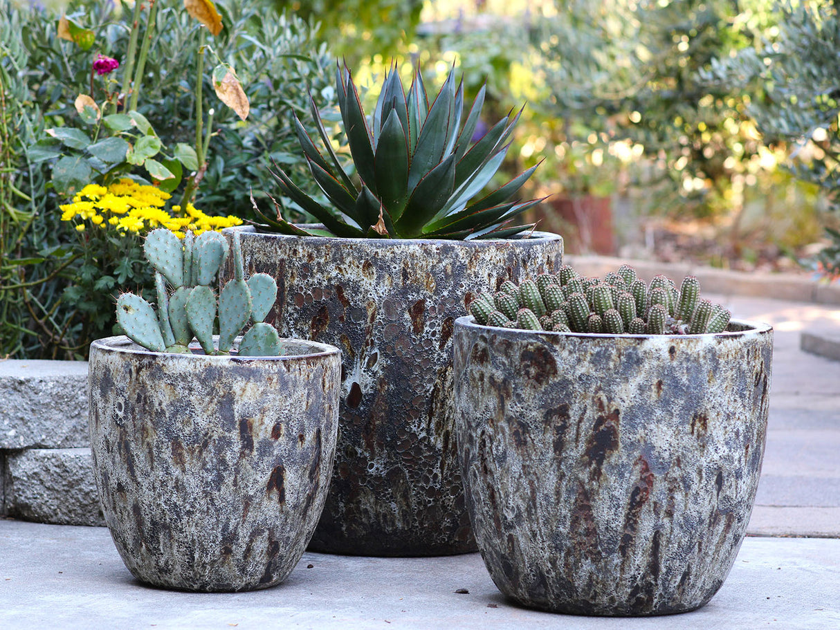 Coco Pots Coral