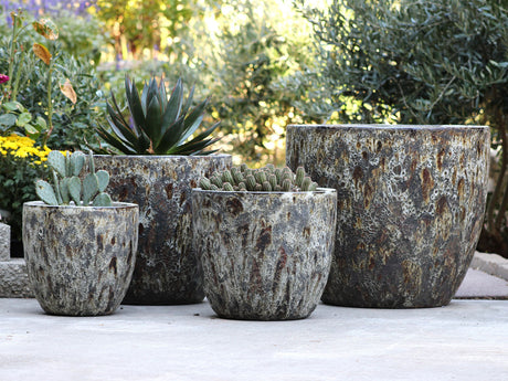 Coco Pots Coral