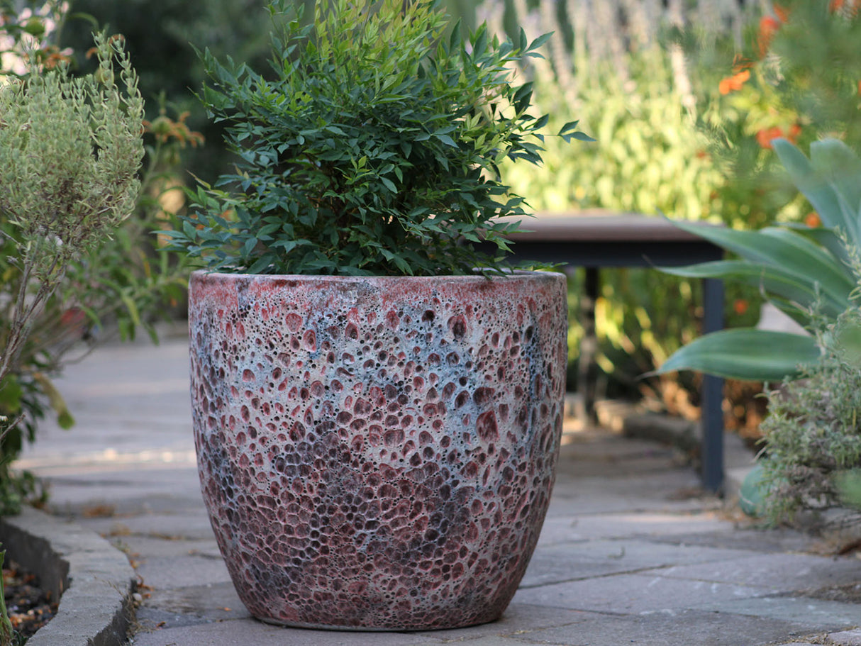 Coco Pots Coral