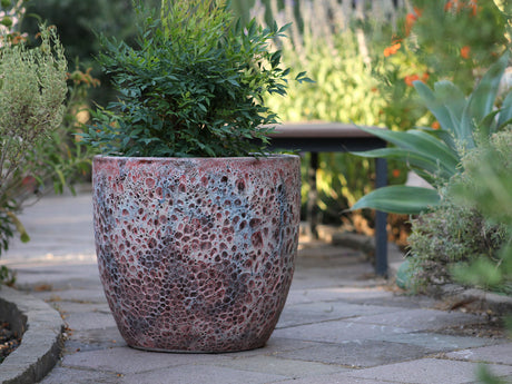 Coco Pots Coral