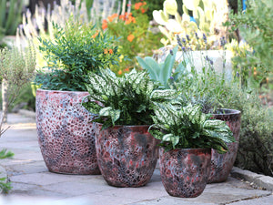Coco Pots Coral - Set of 4 By Plantatorem