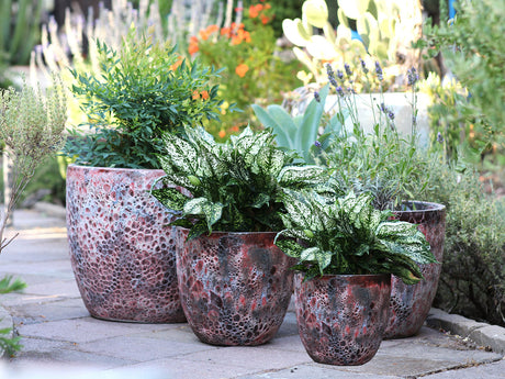 Coco Pots Coral - Set of 4 By Plantatorem