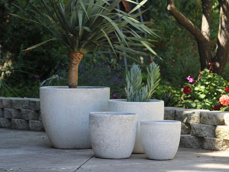 Coco Pots Coral