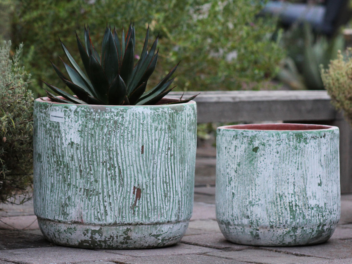 Delphinium Planter - Set of 2