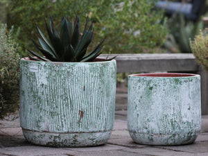 Delphinium Planter - Set of 2