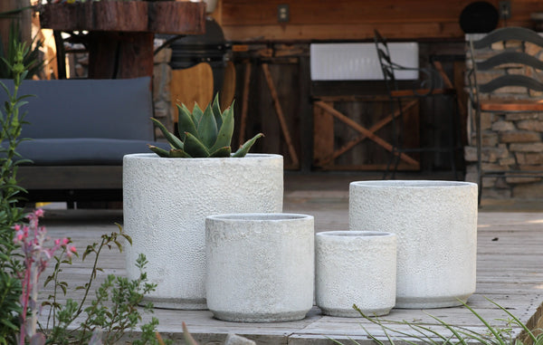 Chelsea Gardener Collection
