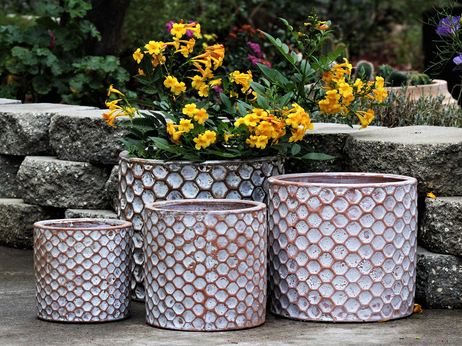 cylinder plant pot large Cylinder Hexagon Planter