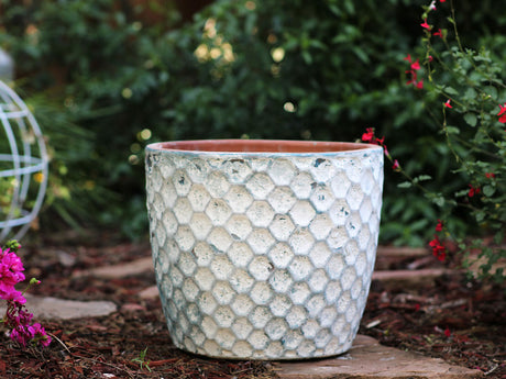 Egg Hexagon Handthrown