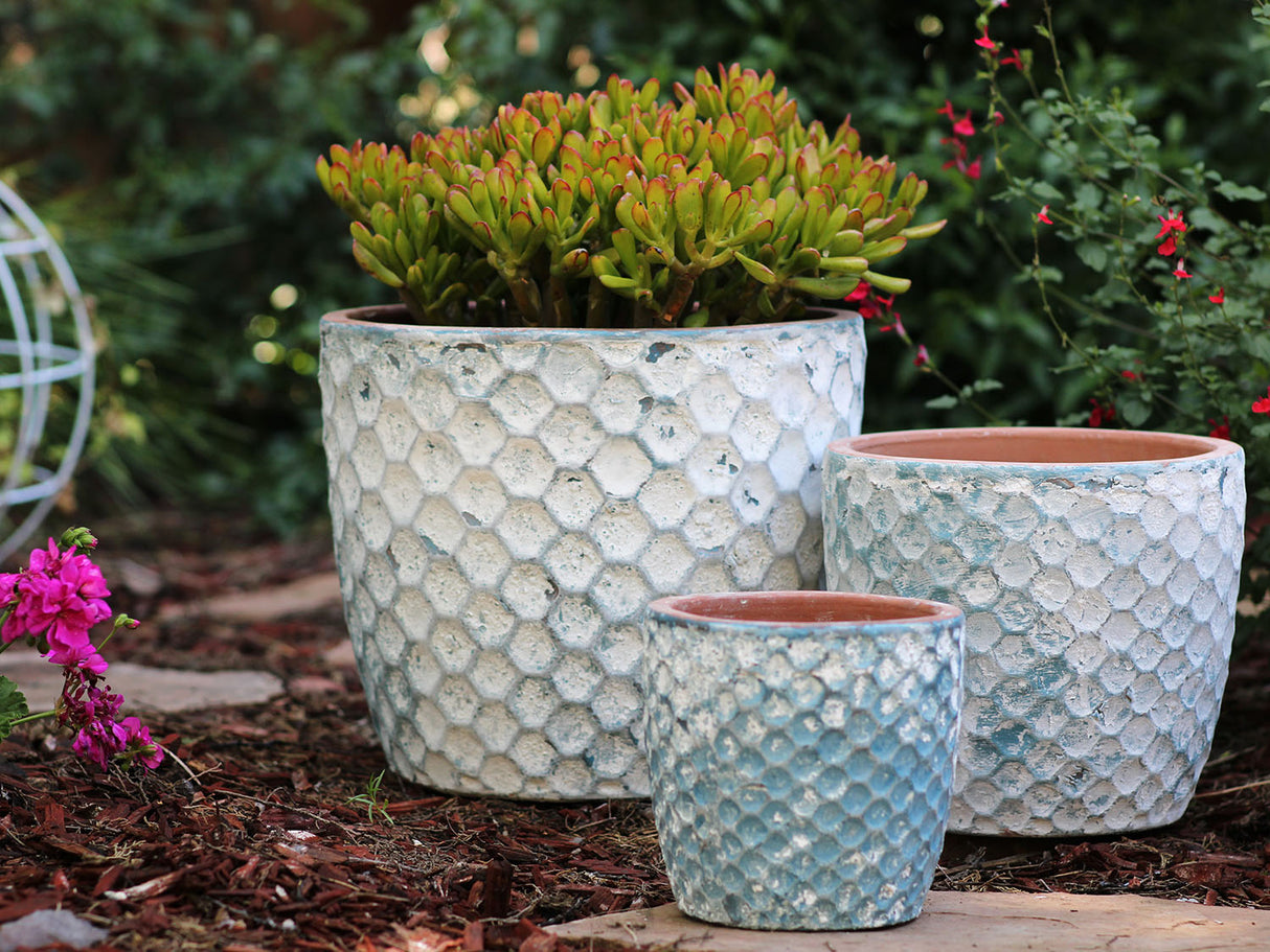 Egg Hexagon Handthrown