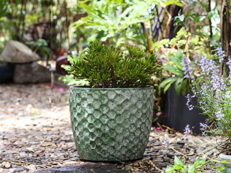 Egg Hexagon Handthrown