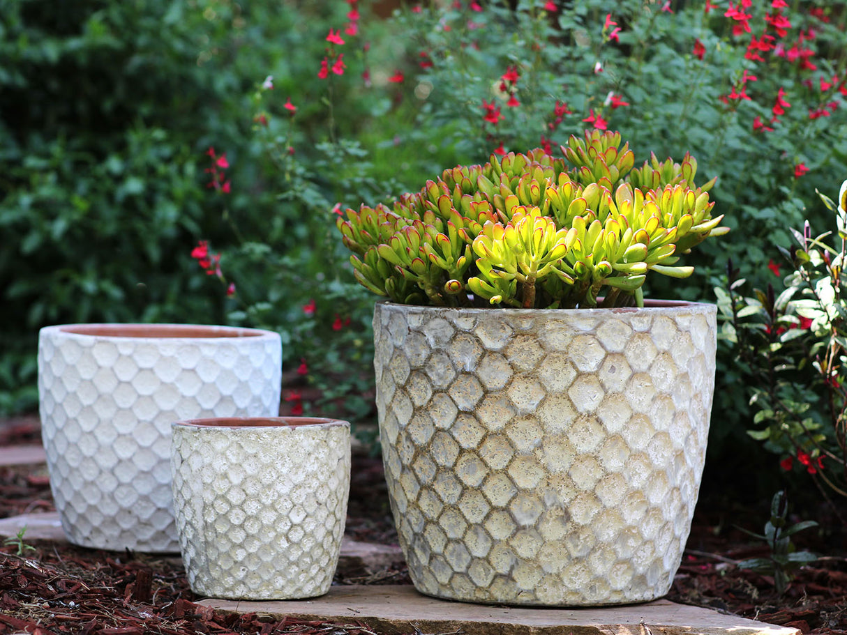 Egg Hexagon Handthrown