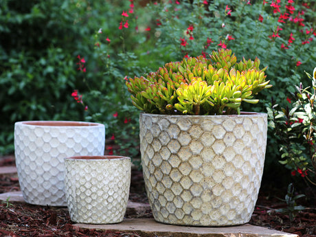 Egg Hexagon Handthrown