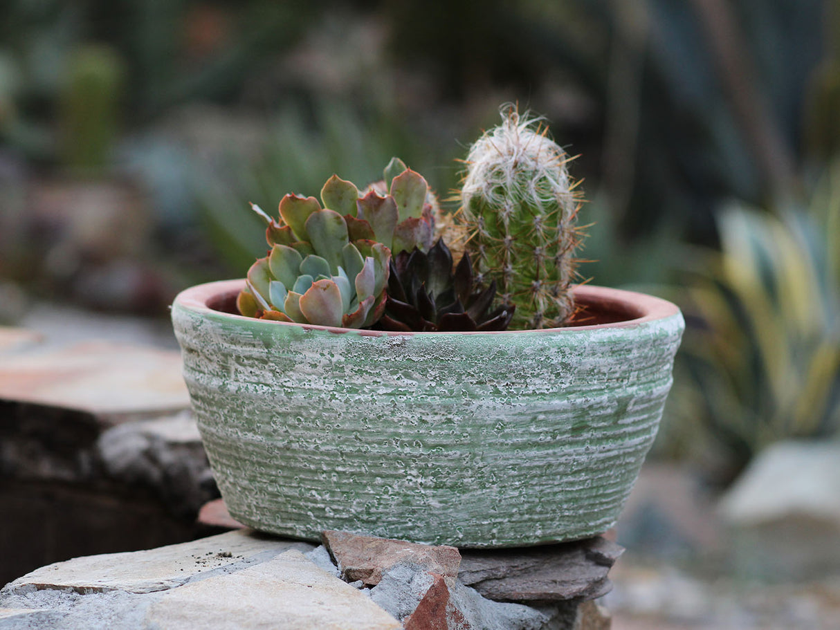 English Tumbled Pots Low