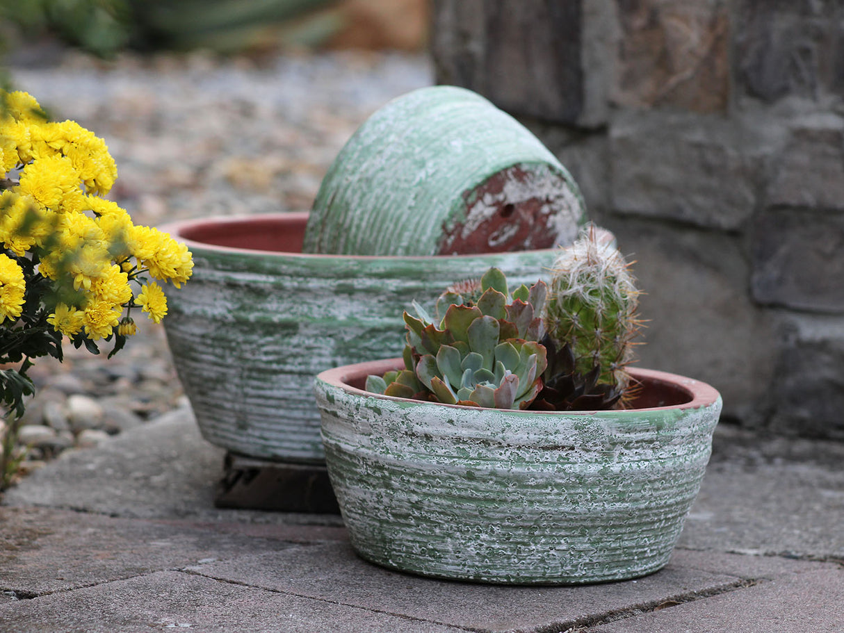 English Tumbled Pots Low