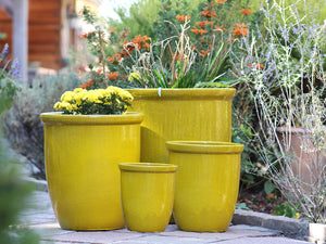 High Cana Pots By Plantatorem