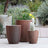 Organic Clay