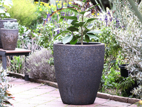 XLG Cone Planter - (Silver Rock) By Plantatorem