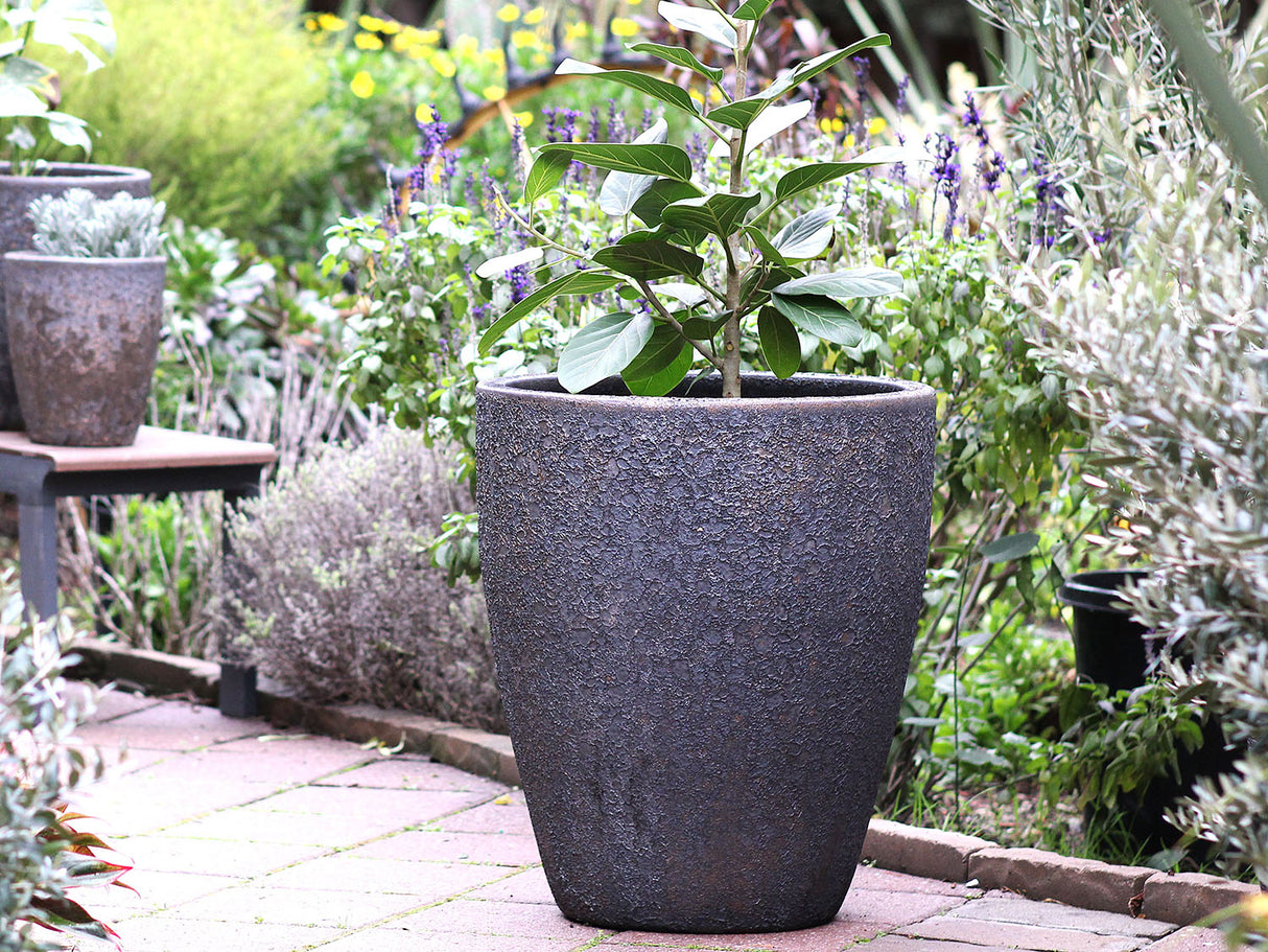 Cone Planter - Set of 3 (Glazed) By Plantatorem
