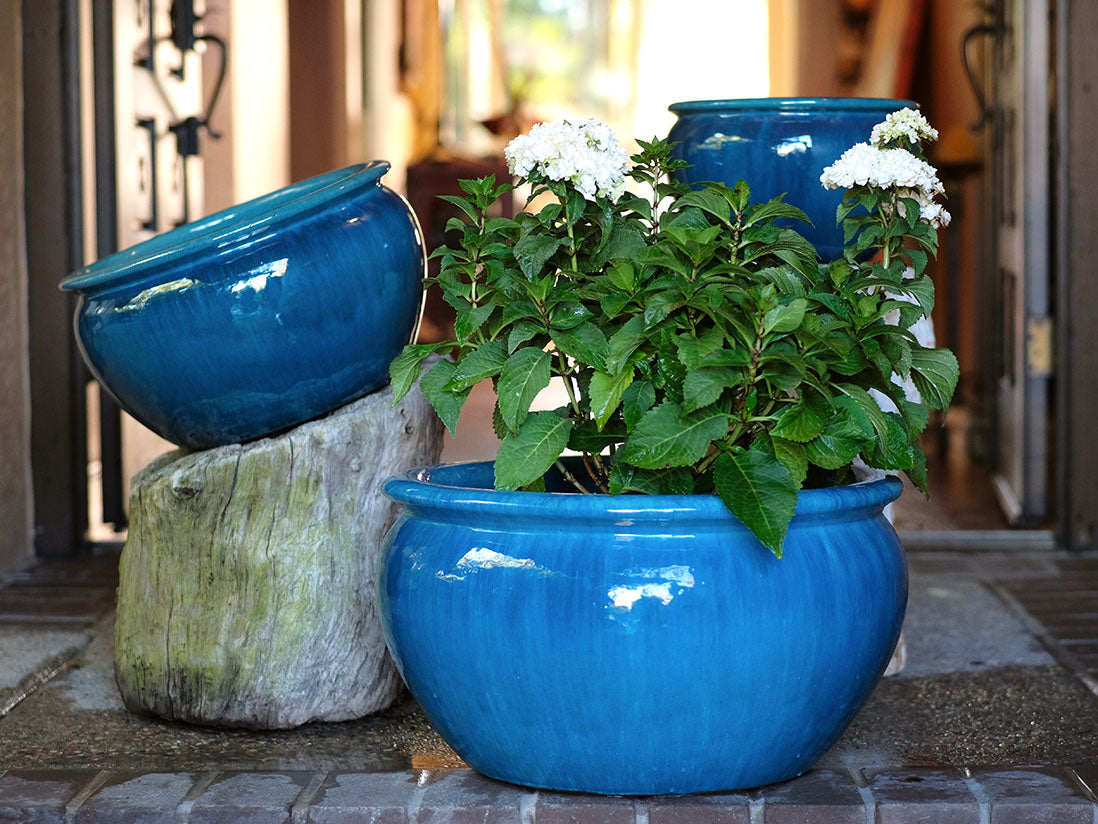 Low Jar Planter - Set of 3