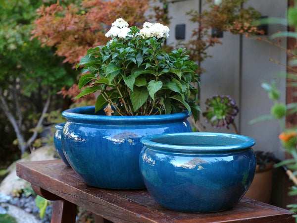 wide low planter pot Buy Low Jar Planter Set of 3 Set of 3 / Falling Blue