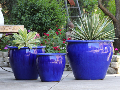 Fish Bowl Pots - Set of 3 By Plantatorem