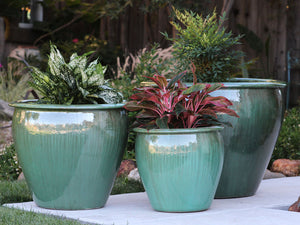 Fish Bowl Pots - Set of 3 By Plantatorem
