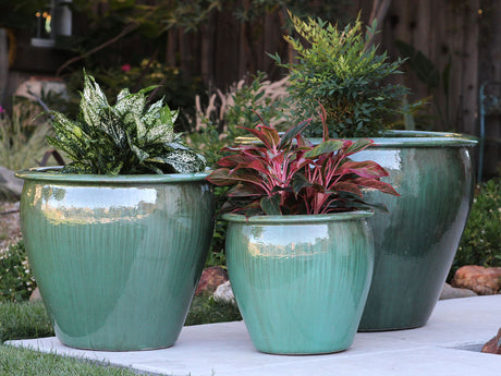 Fish Bowl Pots - Set of 3 By Plantatorem