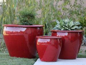 Fish Bowl Pots - Set of 3 By Plantatorem