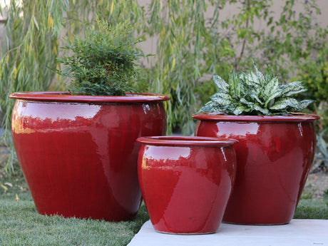 Fish Bowl Pots - Set of 3 By Plantatorem