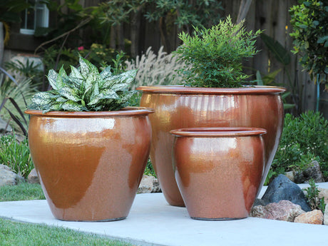 Fish Bowl Pots - Set of 3 By Plantatorem