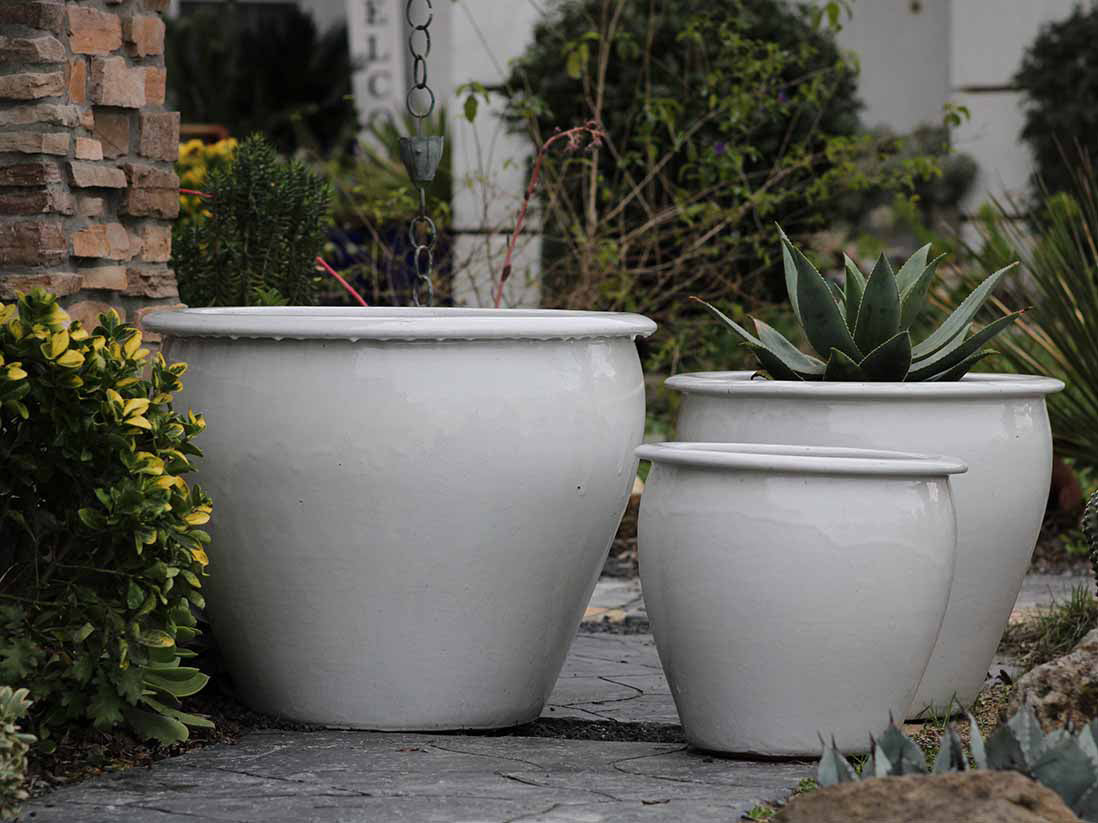 Fish Bowl Pots - Set of 3 – PLANTATOREM