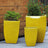 Canary Yellow