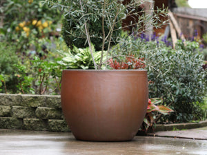 giant plant pots for trees Buy Big Sonoma Planter Set of 4 in Clay 22.0" D x 19.0" H / Organic Clay