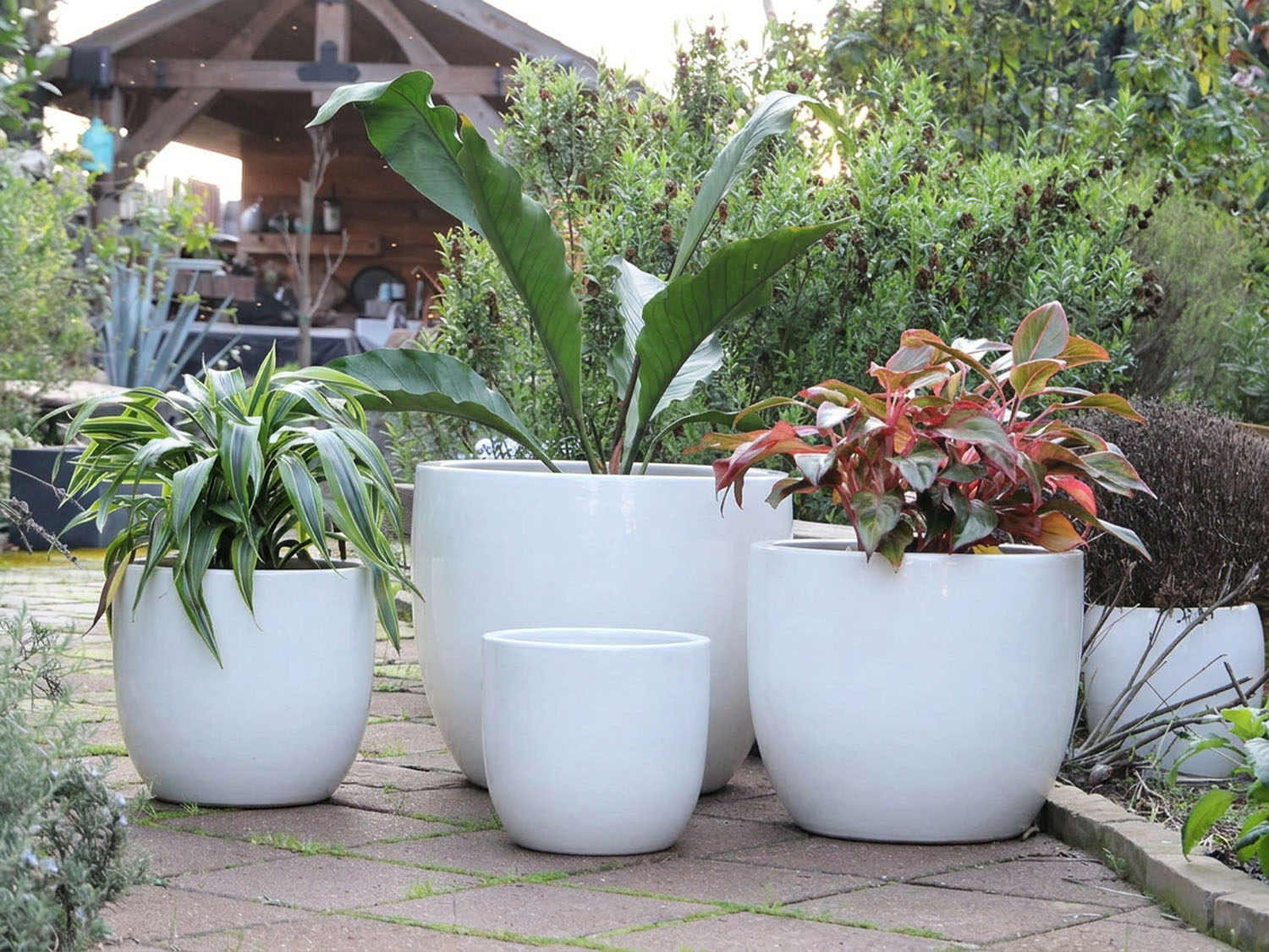 Buy Big Sonoma Planter Set of 4| Stylish Garden Planters – PLANTATOREM
