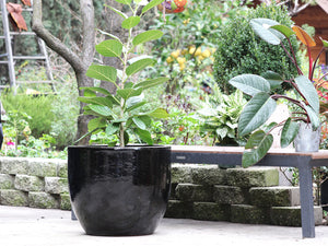 Egg Shell Pots By Plantatorem