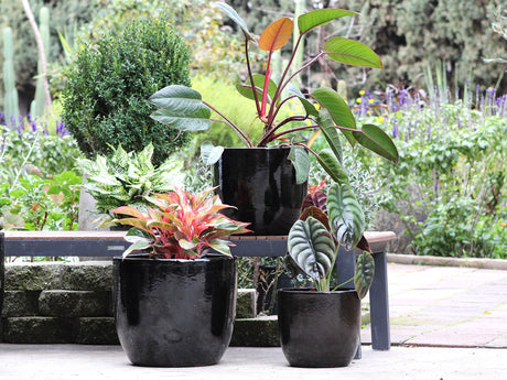 Egg Shell Pots - Sets of 3 By Plantatorem