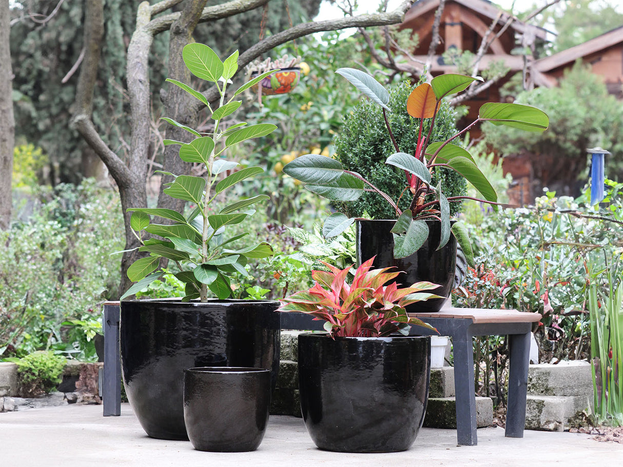 Egg Shell Pots By Plantatorem