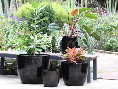 Egg Shell Pots - Set of 4 By Plantatorem