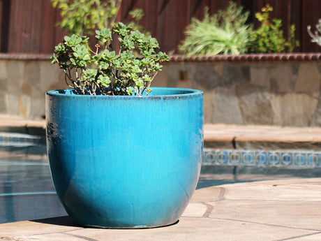 Egg Shell Pots - Set of 4 By Plantatorem